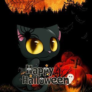 Meet your Posher, Misty